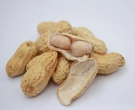 Peanut and shell on white background Stock Photos