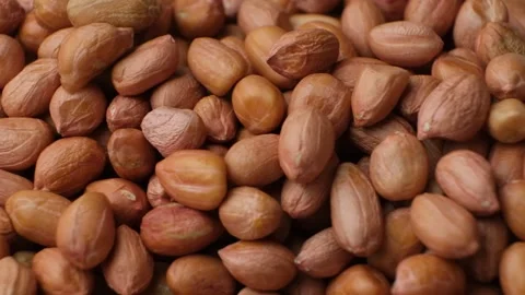 Peanut background, lots of raw brown peanuts close-up. Stock Footage 305829972