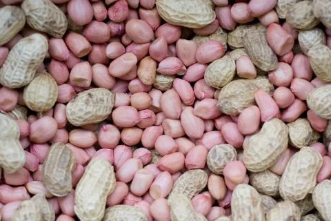 Peanut background Stock Photos