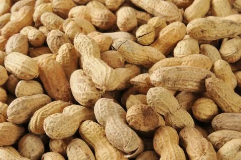 Peanut background Stock Photos