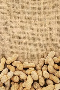 Peanut Background Stock Photos