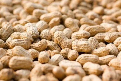 Peanut background Stock Photos