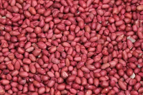 Peanut bean seed with shell or Arachis hypogaea background Stock Photos