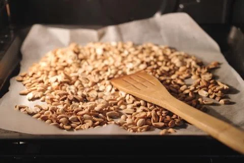 Peanut beans are fried on baking sheet and parchment paper in the oven Stock Photos