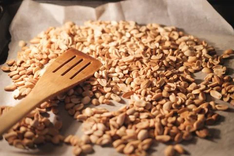 Peanut beans are fried on baking sheet and parchment paper in the oven Stock Photos