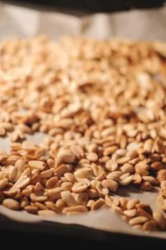 Peanut beans are fried on baking sheet and parchment paper in the oven Stock Photos