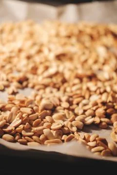 Peanut beans are fried on baking sheet and parchment paper in the oven Stock Photos