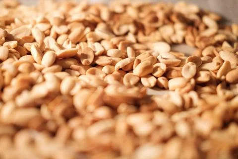 Peanut beans are fried on baking sheet and parchment paper in the oven Stock Photos