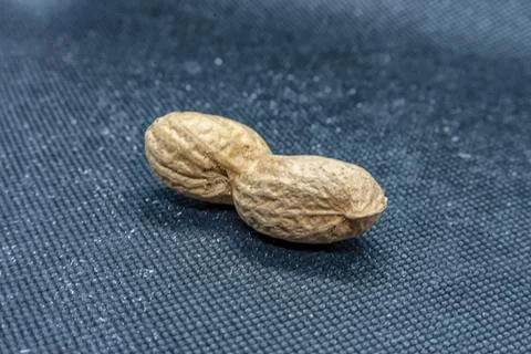 Peanut on black background Foto stock