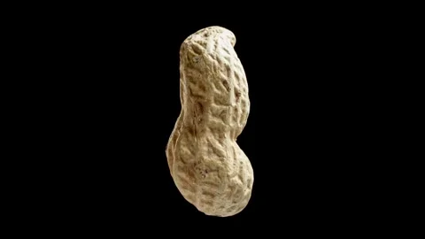Peanut on black background rotating. Tasty nut levitates in air. Stock Footage 292624699