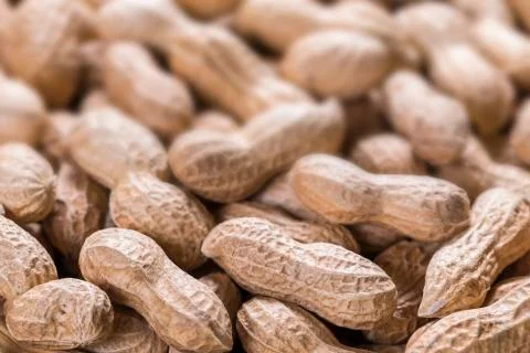 Peanut Blured Backrgound Foto stock