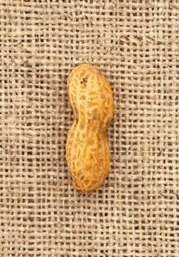 Peanut on burlap. Stock Photos