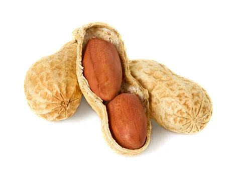 Peanut close-up isolated on a white background. Stock Photos