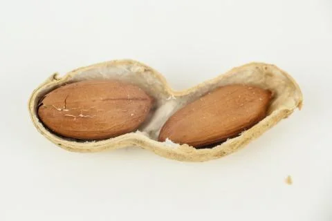 PEANUT CLOSE UP Stock Photos
