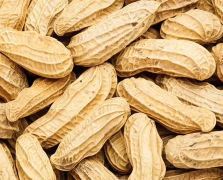 Peanut close up Stock Photos