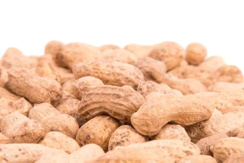 Peanut closeup on a white background Stock Photos