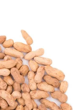 Peanut closeup on a white background Stock Photos