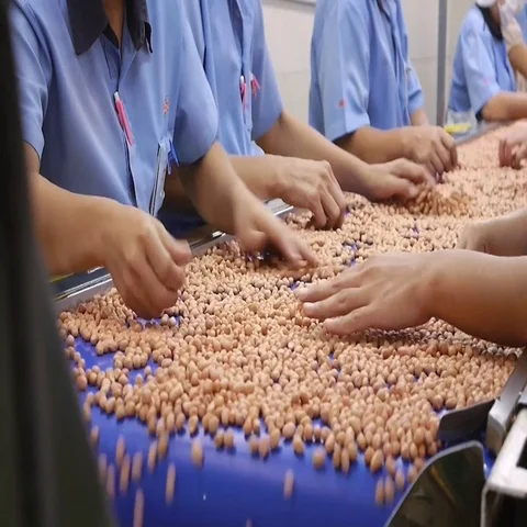 Peanut coated in factory processing. Stock Footage 69713408