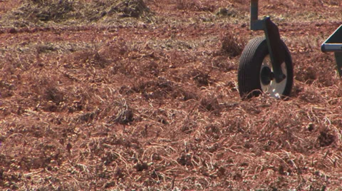 Peanut combine - close Stock Footage 29797829