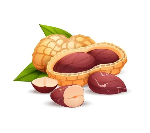 Peanut composition, side view, vector cartoon art Stock Illustration