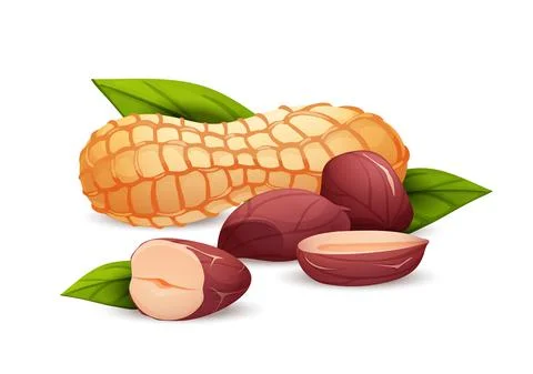 Peanut composition, side view, vector cartoon art Stock Illustration