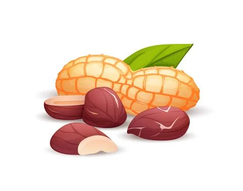 Peanut composition, side view, vector cartoon art Stock Illustration