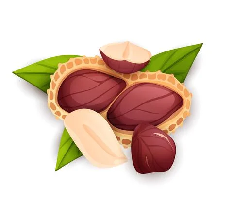Peanut composition, top view. Vector cartoon label Stock Illustration