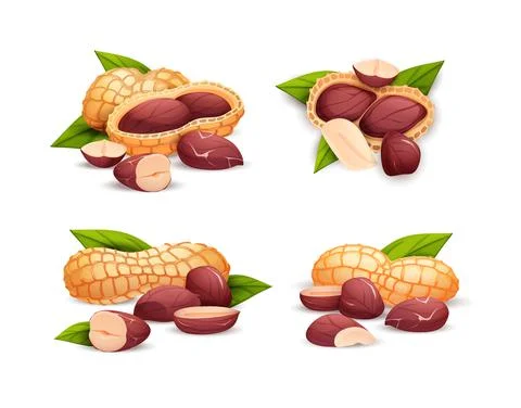 Peanut compositions set, side and top view. Stock Illustration