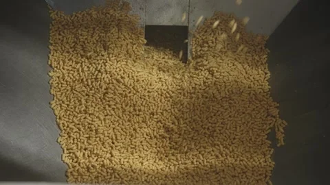 Peanut crisps flowing in food processing machine, industrial snack production Stock Footage 333273672