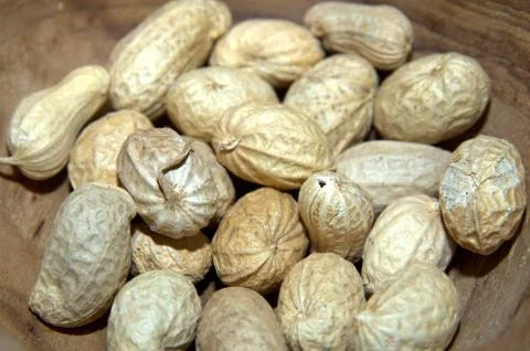 Peanut, dried fruit Stock Photos