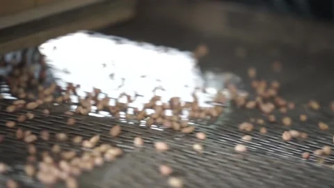 Peanut filter machine in the factory Stock Footage 259270979
