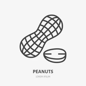 Peanut flat line icon. Vector thin sign of nut, healthy food outline Stock Illustration