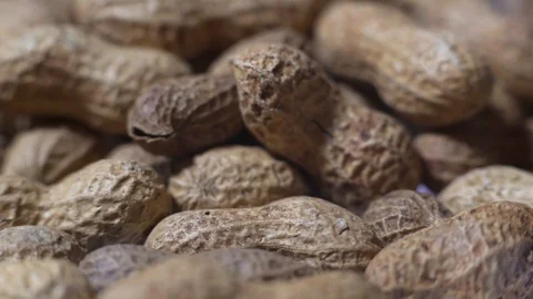 Peanut Stock Footage 102826158