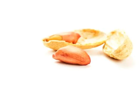Peanut in front of shell and cracked shell Stock Photos