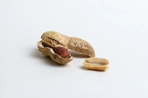 Peanut fruit in cracked shell on white background Stock Photos
