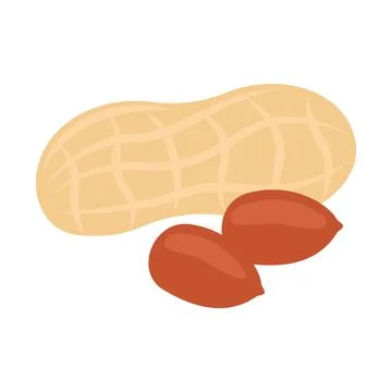 Peanut full in shell and open nut bean. Nut peanut healthy food harvesting. N Illustrazione stock