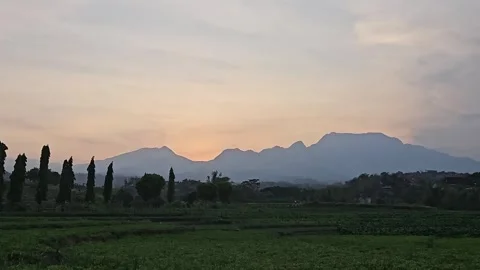 Peanut garden 2 Video stock 288005921