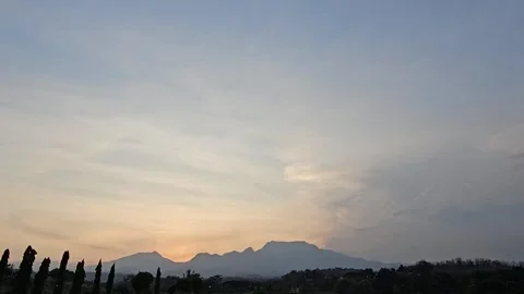 Peanut Garden Video stock 288014870