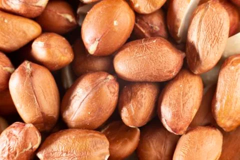 Peanut grains, close-up Stock Photos