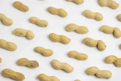 Peanut (Groundnut) Lined Up White Background  Stock Photos