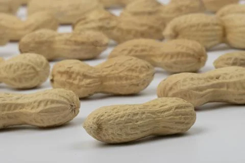 Peanut (Groundnut) Selective Focus White Background  Stock Photos