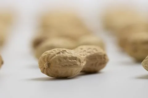 Peanut (Groundnut) Selective Focus White Background  Stock Photos