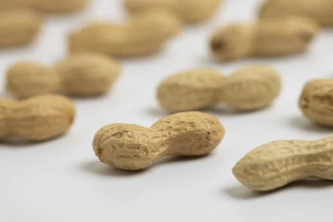 Peanut (Groundnut) Selective Focus White Background  Stock Photos