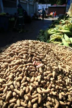 Peanut harvest Stock Photos