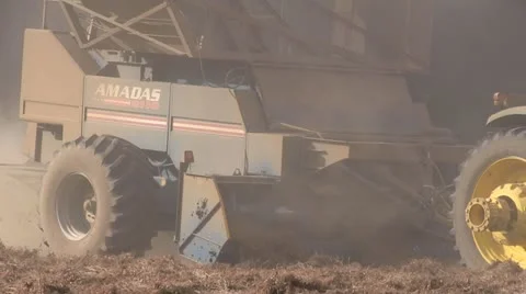Peanut Harvesting 2 Stock Footage 12590573