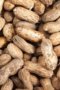 Peanut hull Stock Photos