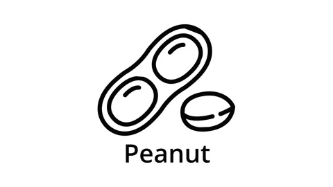 Peanut icon animation Stock Footage 152643434