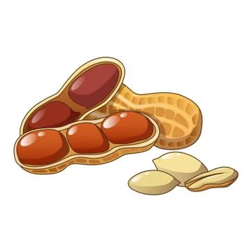 Peanut icon, cartoon style Stock Illustration