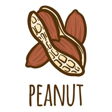 Peanut icon, hand drawn style Stock Illustration