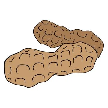 Peanut icon. Stock Illustration
